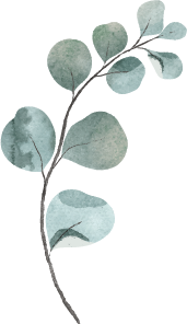 Asset 2-65