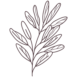 Hidev-Plant-07