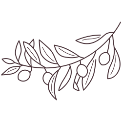 Hidev-Plant-08