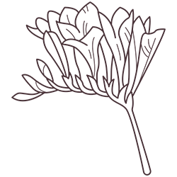 Hidev-Plant-14